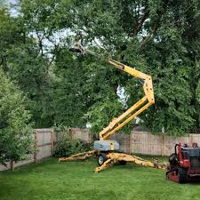 Best Tree Disease Treatment  in Stratford, NJ