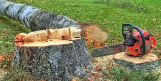 Best Hazardous Tree Removal  in Stratford, NJ