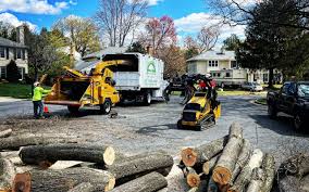  Stratford, NJ Tree Removal Pros